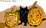 [Kitty With Pumpkin]