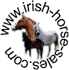 Irish Horse Sales